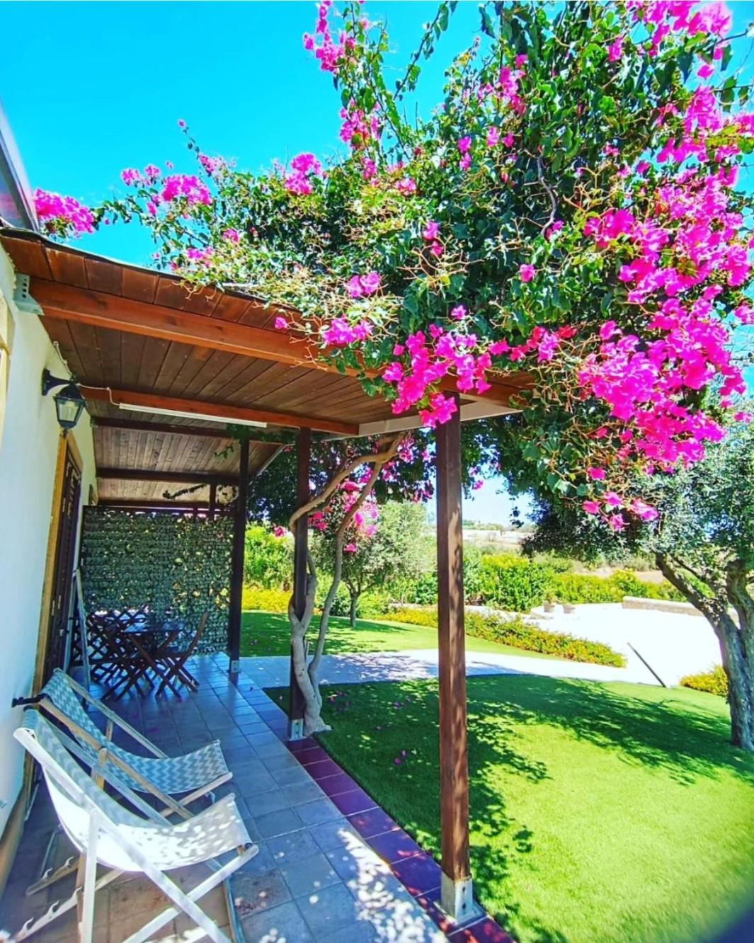 B&B Estremo Sud 마르자메미 외부 사진